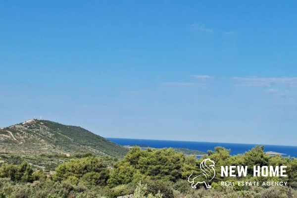 A rarity in a top location