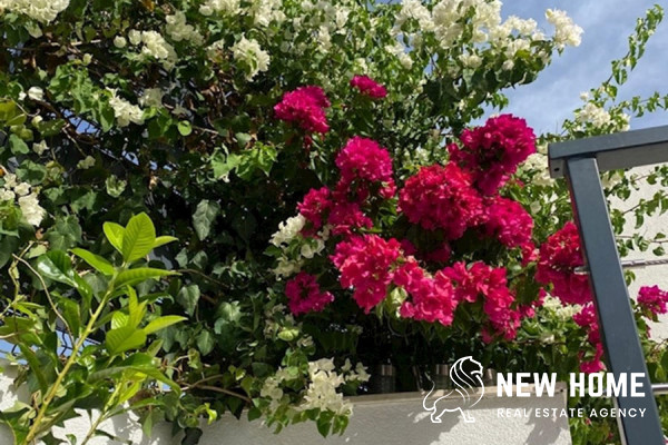 Ražanj villa only 40 m to the sea!!!