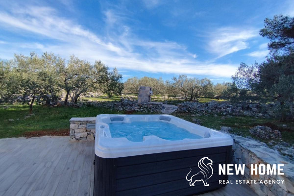 Idyllic house in the middle of an olive grove