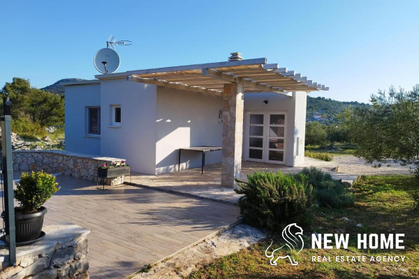 Idyllic house in the middle of an olive grove