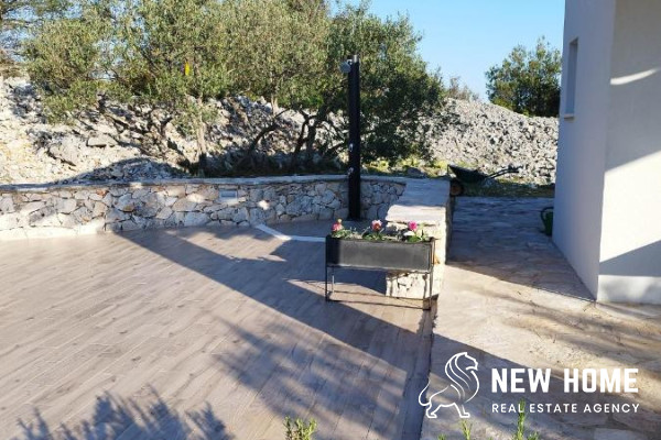 Idyllic house in the middle of an olive grove