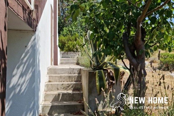 Ferienhaus mit Meerblick