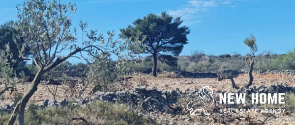 Agricultural land with sea views