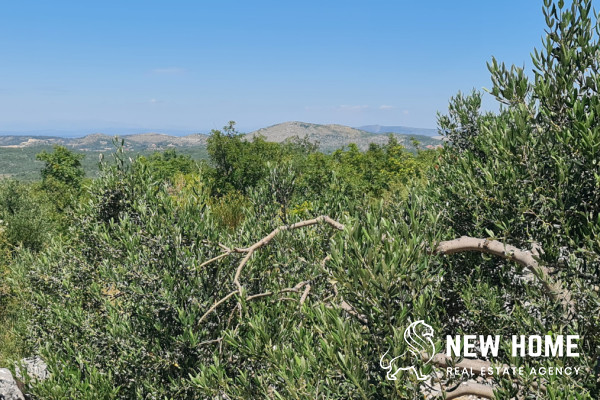 Poljoprivredno zemljište sa odličnim pogledom