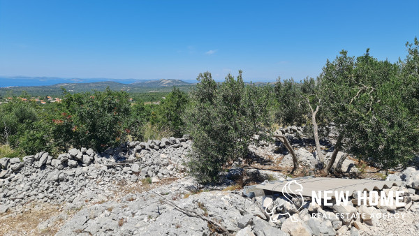 Agrarland mit traumhafter Aussicht
