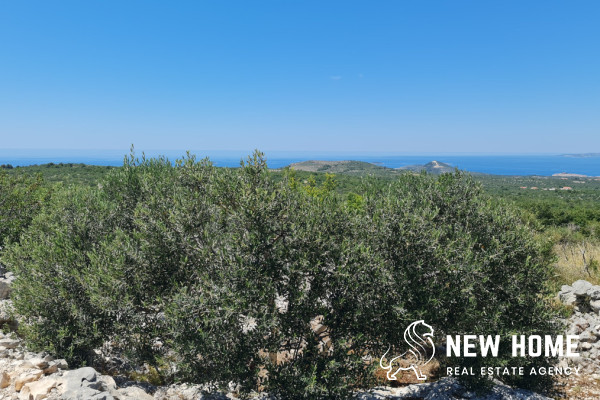 Poljoprivredno zemljište sa odličnim pogledom