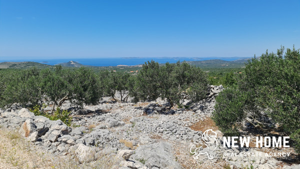 Agricultural Land with Stunning Views