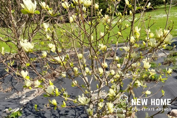 Idyllisches Anwesen in den Masuren